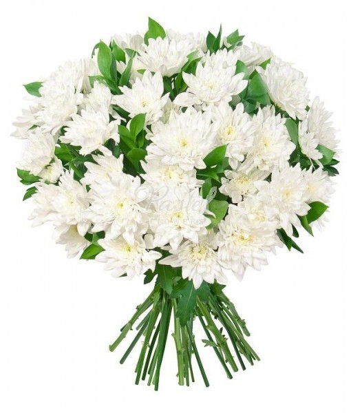 buchet_crizanteme_pastel_flowers