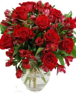red-rosmeria-flowers-1
